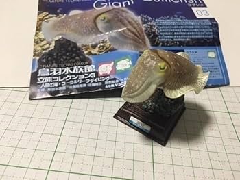 未使用品初版 ネイチャーテクニカラー 鳥羽水族館立体コレクション3 コブシメなど 51rqdKCM+FL._UF350,350_QL50_.jpg